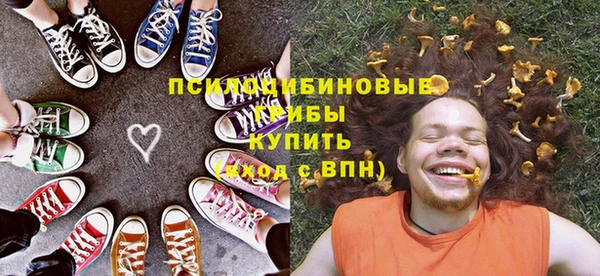 а пвп мука Абаза