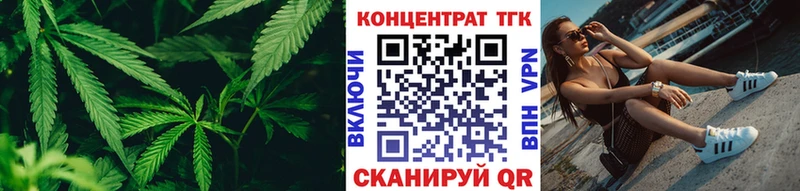 ТГК Wax Шенкурск