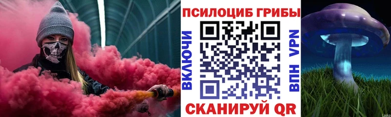 Псилоцибиновые грибы Psilocybe  где купить наркотик  Шенкурск 